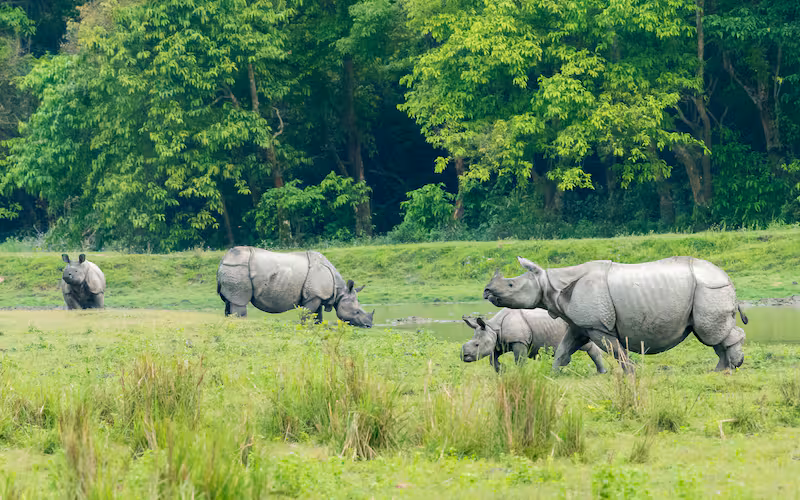 Assam