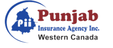 Sanjeev Nair – Punjab Insurance
